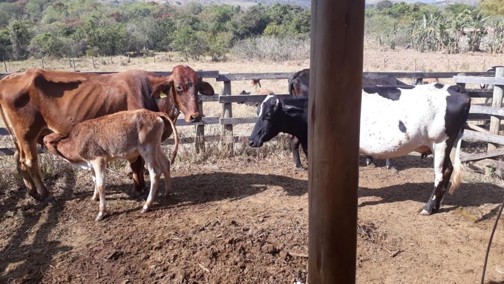 Pousada Estancia Macaubas - São Roque de Minas Esterno foto