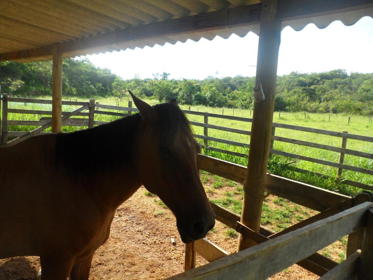 Pousada Estancia Macaubas - São Roque de Minas Esterno foto